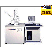 Esempi di microimmagini al microscopio elettronico JEOL 6060 su materiali biologici o non conduttivi - Samples of micrographs  by JEOL 6060 on non metallic specimens